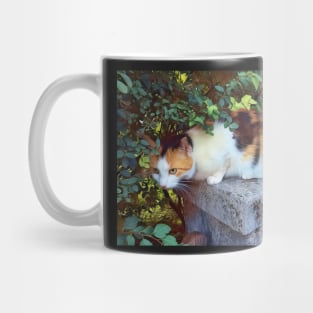 Cute cat sitting on a wal Mug